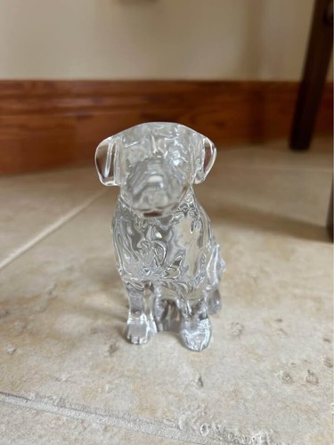 Waterford labrador retriever - waterford,