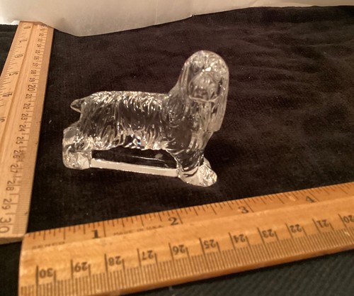Waterford cocker spaniel - waterford,